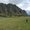 Photo of Kamaha'o S.