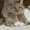 Photo of Roxy X.