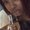 Photo of Alysia P.