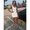 Photo of Megan F.