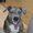 Photo of Severus S.