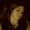 Photo of Jenn E.