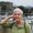 Photo of Cora R.