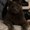 Photo of Sofy P.