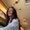 Photo of Nicole S.