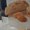 Photo of Matt V.