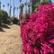 Rose H.