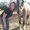 Photo of Jeana B.