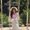 Photo of Leesha P.
