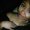 Photo of Marianna M.