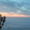 Photo of Malibu V.