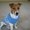 Photo of Edessa P.