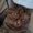 Photo of Qype User (Matty…)