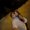 Photo of Lianna P.