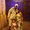 Photo of Alia N John L.