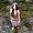 Photo of Charis H.