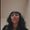 Photo of Tantalize N.