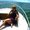 Photo of Cathy Y.