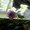 Photo of Donna j r C.