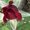 Photo of M J.