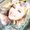 Photo of Megan G.