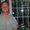 Photo of steve m.