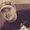 Photo of Troy B.