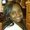 Photo of Jermisha N.