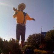 google avatar