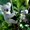 Photo of Qype User (pppfoo…)