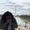 Photo of Qiana S.