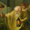 Photo of Diogenes C.