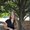 Photo of Madison S.