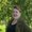 Photo of Tonya S.