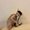 Photo of Samira C.