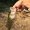 Photo of Alex P.