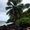 Photo of Bryan O.
