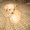Photo of Deserie F.