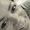 Photo of Tamarah H.