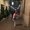 Photo of Dasha B.
