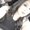 Photo of Cindy M.