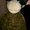 Photo of Jayy A.