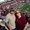 Photo of Paul Nelson-Pam N.