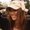 Photo of Natalie P.