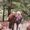 Photo of Donna S.