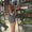 Photo of Ashli H.