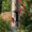 Photo of Barbara M.