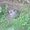 Photo of Peki M.