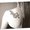 Photo of Ilana T.