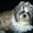 Photo of Qype User (lynnem…)